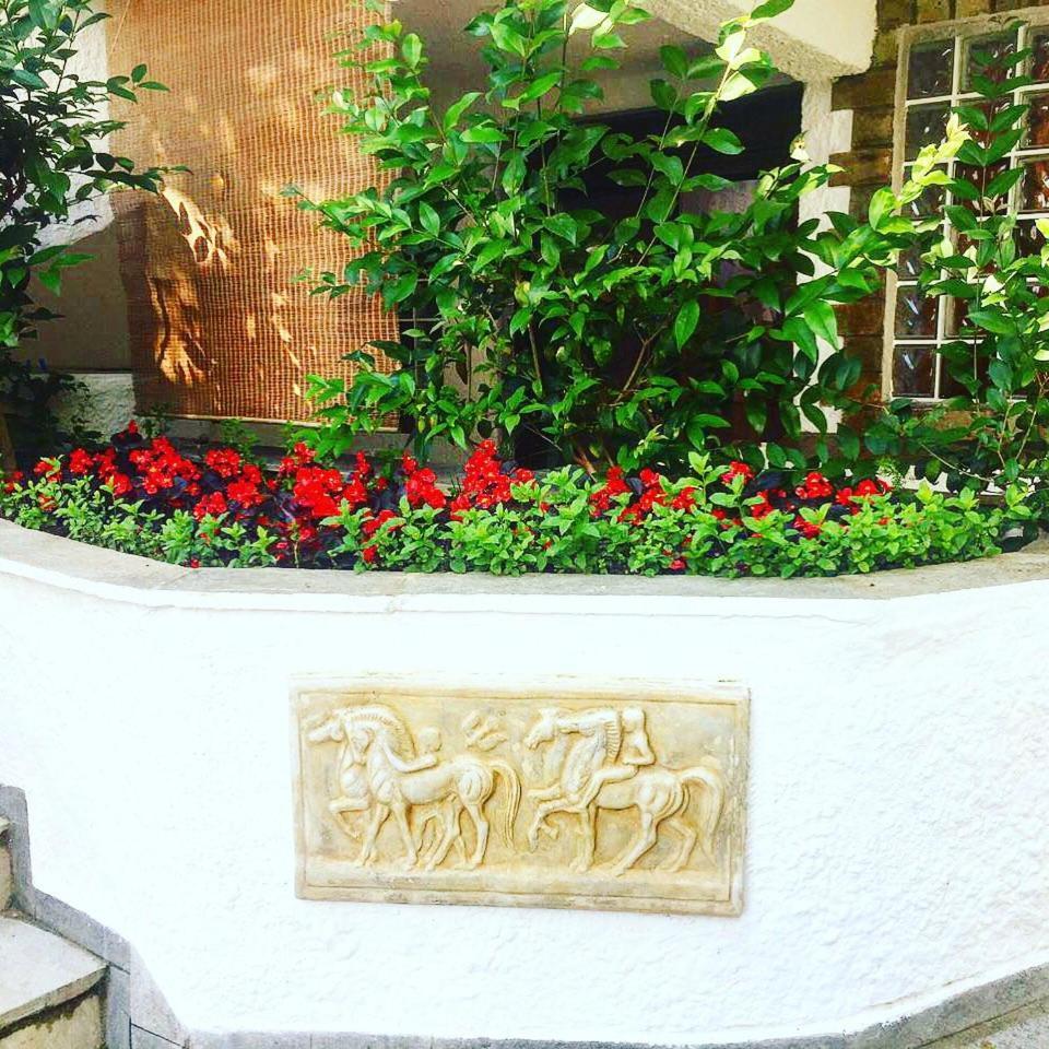 Argo Apartments Néa Potídea Szoba fotó
